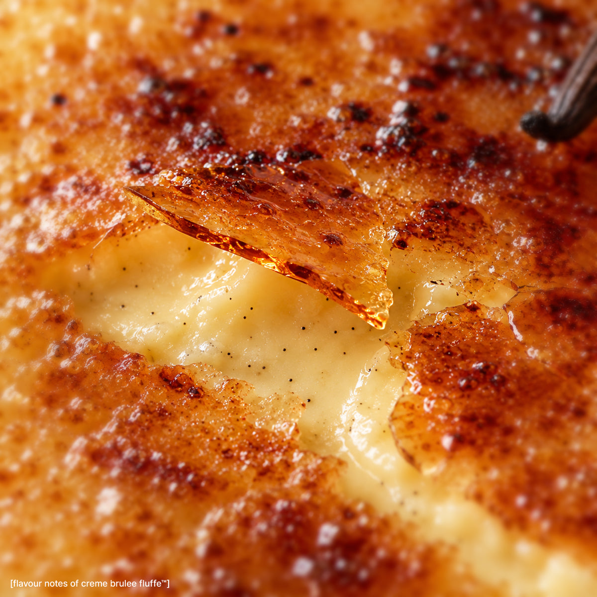 Crème Brûlée