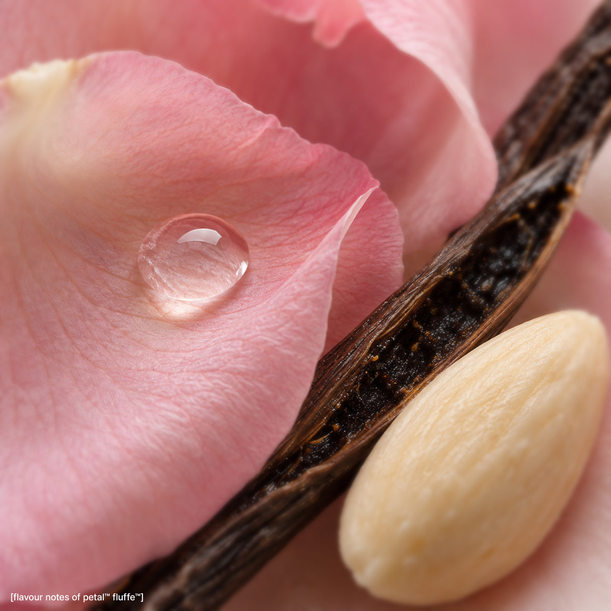 Petal