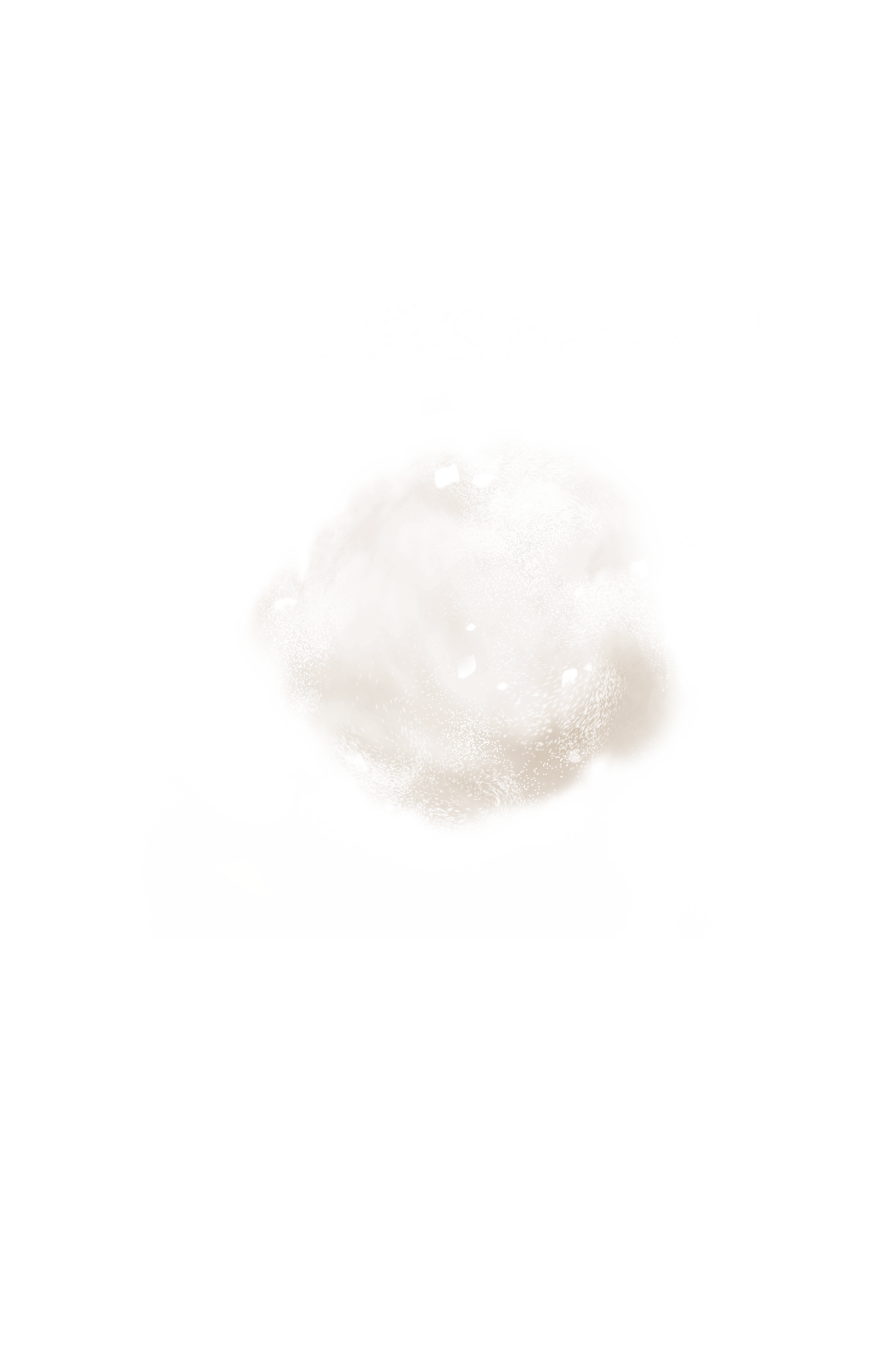 Pavlova